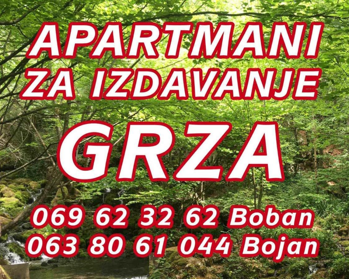 Apartmani Grza Paracin Exterior photo